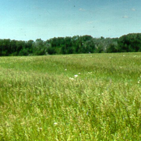 bromefertdistribution