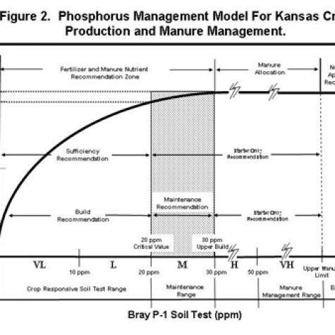 p-managementconceptual