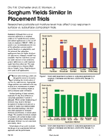 Sorghum Yields Similar In Placement Trials