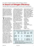 In Search of Nitrogen Efficiency