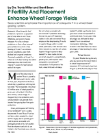 P Fertility And Placement Enhance Wheat Forage Yields