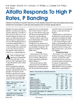 Alfalfa Responds To High P Rates, P Banding