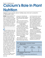Calcium’s Role In Plant Nutrition