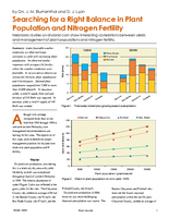 Searching for a Right Balance in Plant Population and Nitrogen Fertility