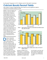 Calcium Boosts Peanut Yields