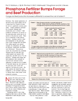 Phosphorus Fertilizer Bumps Forage and Beef Production