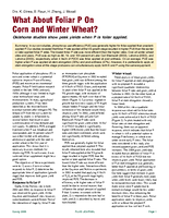 What About Foliar P On Corn and Winter Wheat?