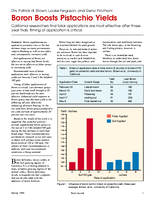 Boron Boosts Pistachio Yields