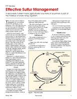 Effective Sulfur Management