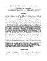 Band Placement for Potatoes in Calcareous Soil