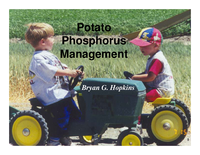 Potato Phosphorus Management