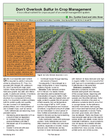 Don’t Overlook Sulfur in Crop Management