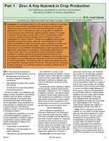 Part I, Zinc: A Key Nutrient in Crop Production