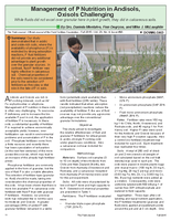 Management of P Nutrition in Andisols, Oxisols Challenging