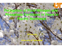 Fertigation of Fluid Nitrogen and Phosphate Fertilizers in Pears in Pacific Northwest