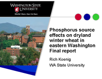 Phosphorus Source Effects on Dryland Winter Wheat in Eastern Washington