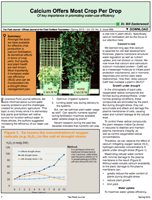 Calcium Offers Most Crop Per Drop