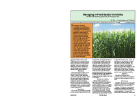 Managing In-Field Spatial Variability