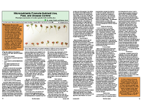Micronutrients Promote Nutrient Use, Pest, and Disease Control