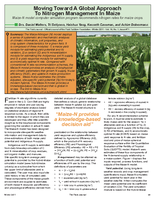 Moving Toward A Global Approach To Nitrogen Management In Maize