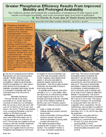 Greater Phosphorus Efﬁciency Results From Improved Mobility and Prolonged Availability