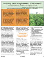 Increasing Yields Using Urea With Urease Inhibitors