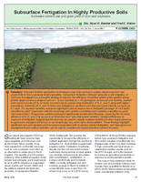 Subsurface Fertigation In Highly Productive Soils