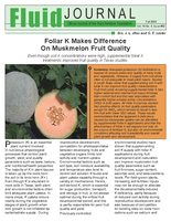 Foliar K Makes Difference On Muskmelon Fruit Quality