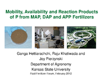 Availability and Reaction Products of P from MAP, DAP and APP Fertilizers