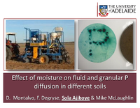 Effect of moisture on fluid and granular P diffusion in different soils