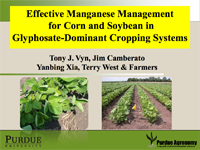 Effective Manganese Management for Corn and Soybean in Glyphosate-Dominant Cropping Systems