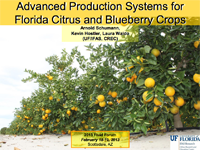 Advanced Production Systems for Florida Citrus and Blueberry Crops