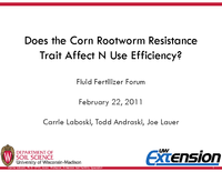 Does the Corn Rootworm Resistance Trait Affect N Use Efficiency?