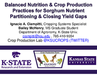 Balanced Nutrition and Crop Production Practices for Sorghum Nutrient Partitioning & Closing Yield Gaps