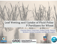 Leaf Wetting and Uptake of Fluid Foliar P Fertilizers for Wheat