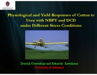 Physiological and Yield Response of Cotton to Urea with NBPT and DCD Under Different Stress Conditions