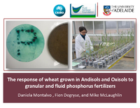 The response of wheat grown in Andisols and Oxisols to granular and fluid phosphorus fertilizers