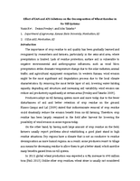 Effect of UAN and ATS Solutions on the Decomposition of Wheat Residue in No-Till Systems