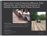 Improving Cotton Production Efficiency With Phosphorus and Potassium Placement At Multiple Depths in Strip Tillage Systems