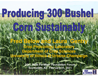 Producing 300 Bushel Corn Sustainably