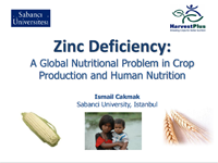 Zinc Deficiency: A Global Nutritional Problem in Crop Production and Human Nutrition