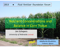 Nutrient Concentrations and Balance in Corn Tissue