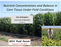 Nutrient Concentrations and Balance in Corn Tissue Under Field Conditions