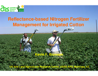 Reflectance-based Nitrogen Fertilizer Management for Irrigated Cotton