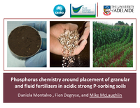 Phosphorus Chemistry Around Placement of Granular and Fluid Fertilizers in Acidic-strong P-absorbing Soils