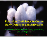 Potassium Deficiency in Cotton Early Detection and Alleviation