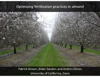 Optimizing fertilization practices in almond