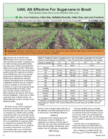 UAN, AN Effective For Sugarcane in Brazil