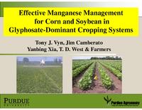 Effective Manganese Managementfor Corn and Soybean in Glyphosate-Dominant Cropping Systems