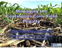 Managing the Continuous Corn Yield Penalty